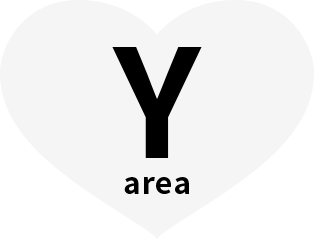 Y area