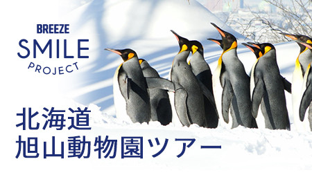 北海道旭山動物園ツアー